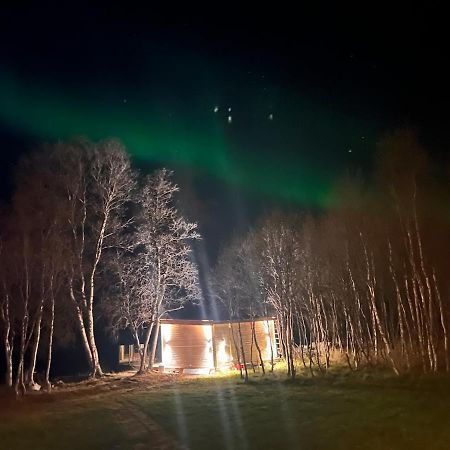Cottage With Good Standard Next To Neiden River Екстериор снимка
