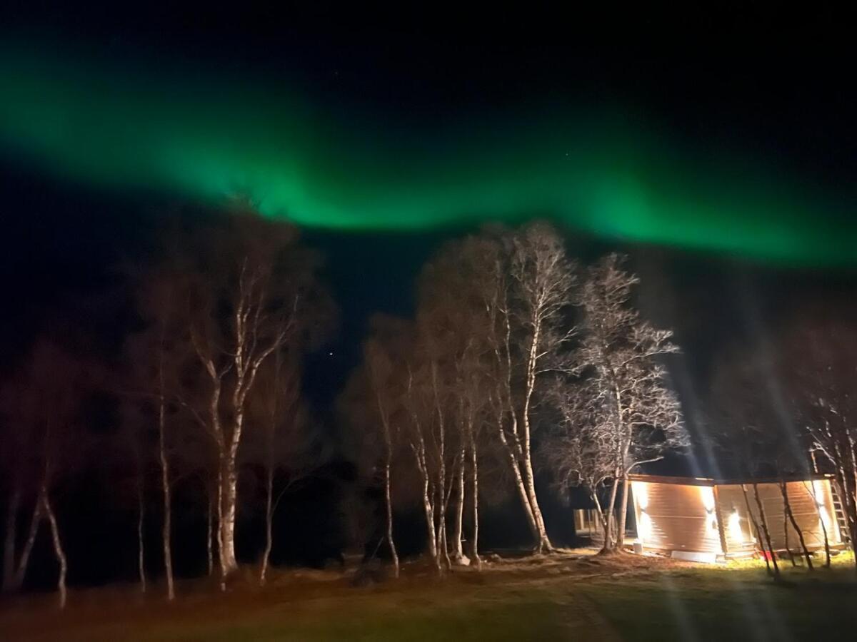 Cottage With Good Standard Next To Neiden River Екстериор снимка